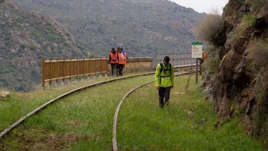 Suspendidas  las visitas interpretadas y los grupos de más de 25 personas